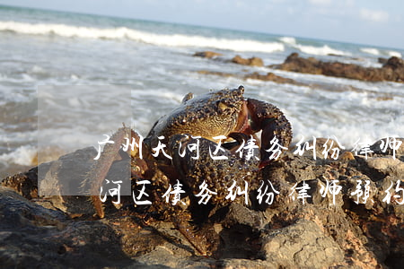 广州天河区债务纠纷律师预约电话-广州天河区债务纠纷律师预约电话号码