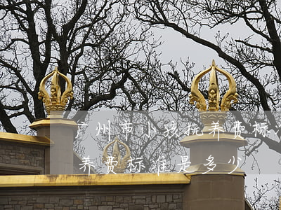 广州市小孩抚养费标准是多少(广州市小孩抚养费标准是多少)