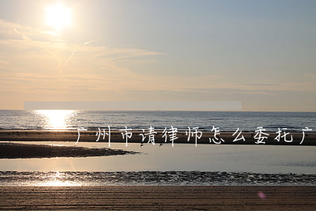 广州市请律师怎么委托(广州免费咨询律师)