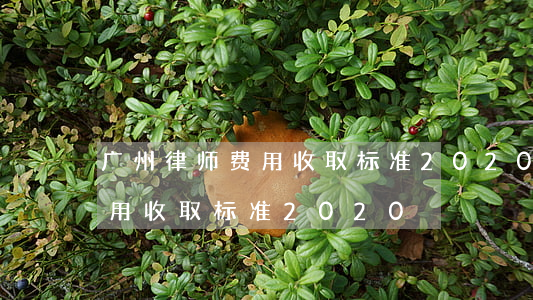 广州律师费用收取标准2020(广东律师费用收取标准2020)
