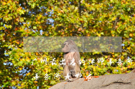 广州最出名的律师事务所(广州最有名的律师事务所是哪家)