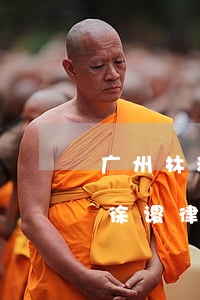 广州林和律师事务所(广州林和律师事务所林徐谡律师)