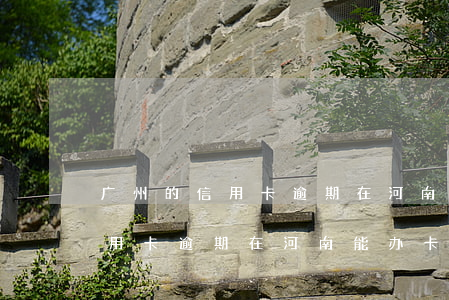 广州的信用卡逾期在河南能办卡吗(广州的信用卡逾期在河南能办卡吗怎么办)