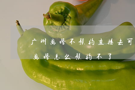 广州离婚不预约直接去可以吗(广州网上预约离婚怎么预约不了?)