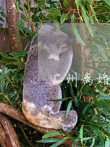 广州离婚纠纷