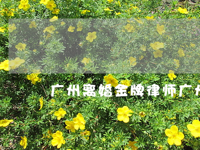 广州离婚金牌律师(广州资深离婚律师事务所)