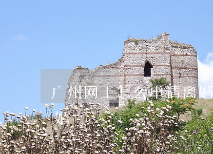 广州网上怎么申请离婚(广州网上怎么申请离婚)