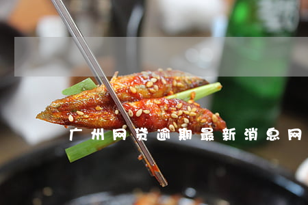 广州网贷逾期最新消息(网贷逾期新规)