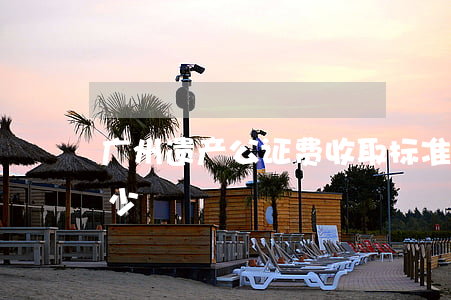广州遗产公证费收取标准(遗产公证费用是多少)