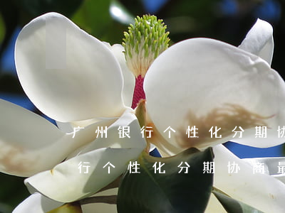 广州银行个性化分期协商最新政策-广州银行个性化分期协商最新政策解读