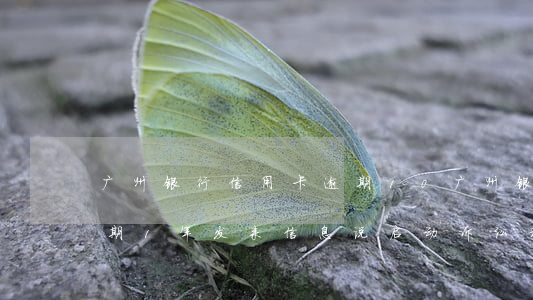 广州银行信用卡逾期10(广州银行信用卡逾期1年,发来信息说启动诉讼程序)