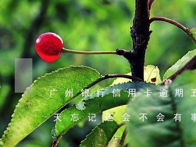 广州银行信用卡逾期五天(广州信用卡逾期7天忘记还会不会有事)