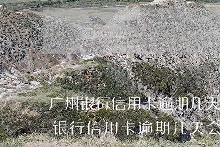 广州银行信用卡逾期几天会上征信吗-广州银行信用卡逾期几天会上征信吗知乎