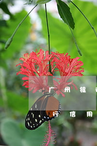 广州银行信用卡逾期利息怎么算的-广州银行信用卡逾期利息怎么算的啊