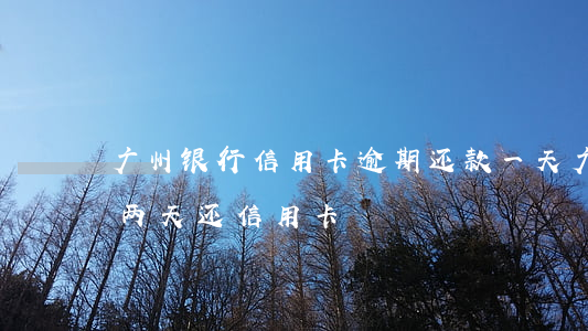 广州银行信用卡逾期还款一天 广州银行迟了两天还信用卡