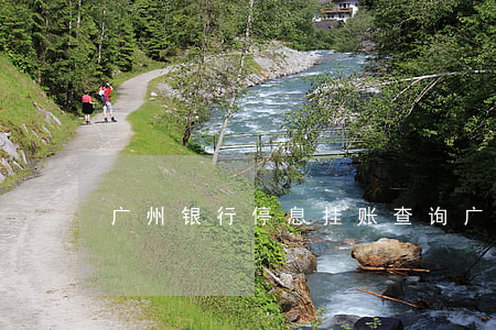 广州银行停息挂账查询(广州银行停卡还全款)