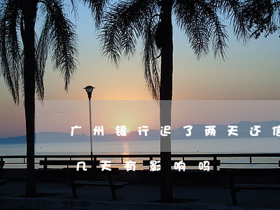 广州银行迟了两天还信用卡（广州信用卡逾期几天有影响吗）