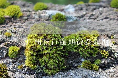 广州银行逾期说要起诉