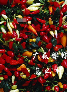 广森律师事务所怎么样(北京广森律师事务所怎么样)