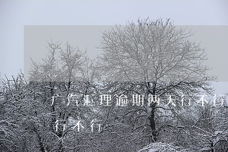 广汽汇理逾期两天行不行(广汽汇理逾期两天行不行)