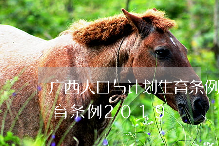 广西人口与计划生育条例(广西人口与计划生育条例2019)