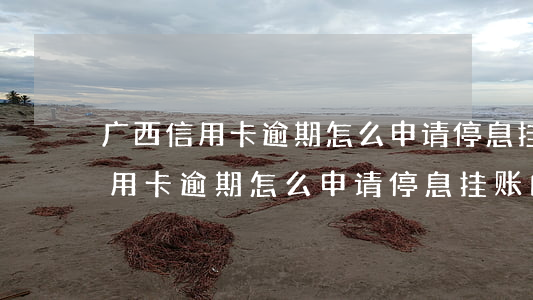 广西信用卡逾期怎么申请停息挂账-广西信用卡逾期怎么申请停息挂账的