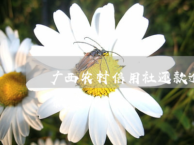 广西农村信用社还款逾期(广西农村信用社还款逾期)