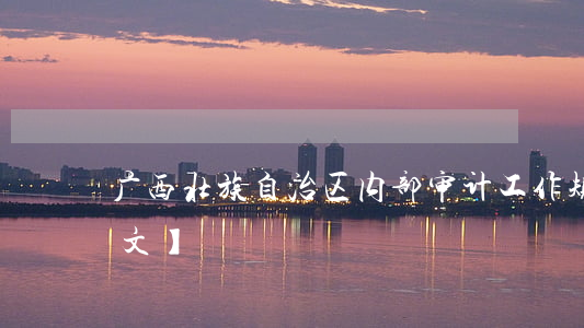 广西壮族自治区内部审计工作规定最新【全文】