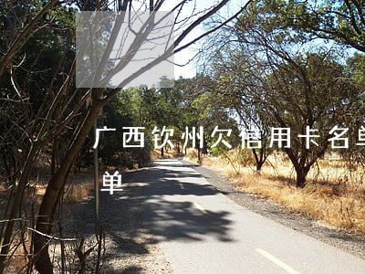 广西钦州欠信用卡名单(钦州失信被执行人名单)