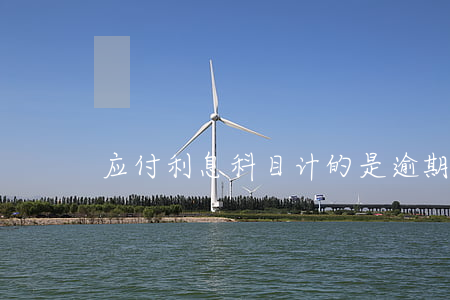 应付利息科目计的是逾期利息吗-