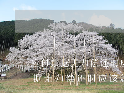 应付票据无力偿还时应该怎么处理-应付票据无力偿还时应该怎么处理呢