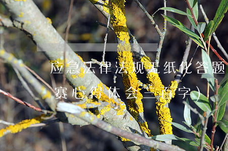 应急法律法规无纸化答题总结(法律知识竞赛心得体会三百字)