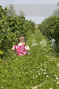 应收票据应该如何进行审核