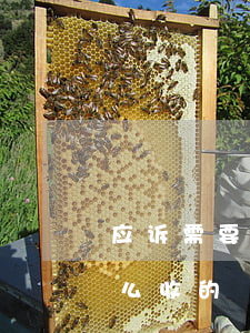 应诉需要请律师吗怎样收费(律师应诉费是怎么收的?)