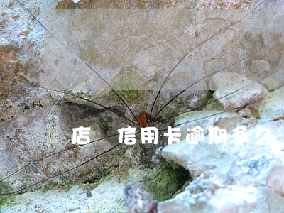 店鋪信用卡逾期多久會被起訴