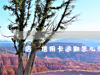 店鋪信用卡逾期怎么消除