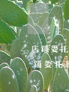 店鋪委托書(shū)怎么寫(xiě)(店鋪委托書(shū)怎么寫(xiě)范文)