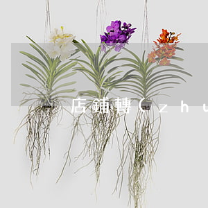 店鋪轉(zhuǎn)讓合同怎么寫