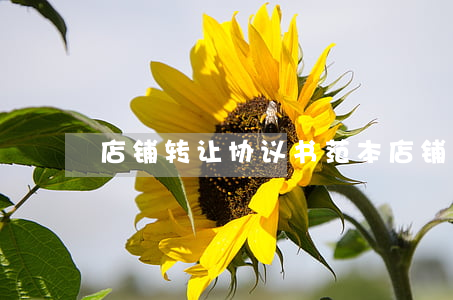 店铺转让协议书范本(店铺转让协议标准范本)