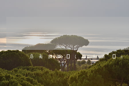 店面出租轉(zhuǎn)讓