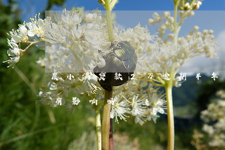 度小满贷款2万逾期半年(度小满逾期两天会有影响吗)