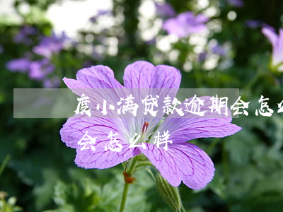 度小满贷款逾期会怎么样(度小满逾期一年了会怎么样)