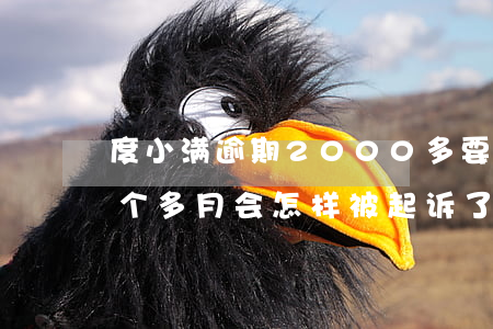 度小满逾期2000多要起诉(度小满逾期两个多月会怎样被起诉了怎么办)