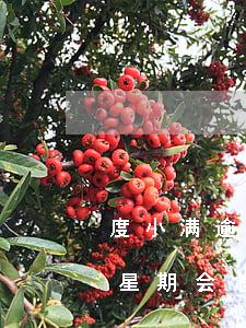 度小满逾期一天会加微信吗 度小满逾期一个星期会怎样