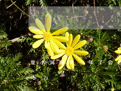 度小满逾期一年了会怎么样（百度度小满逾期5万）