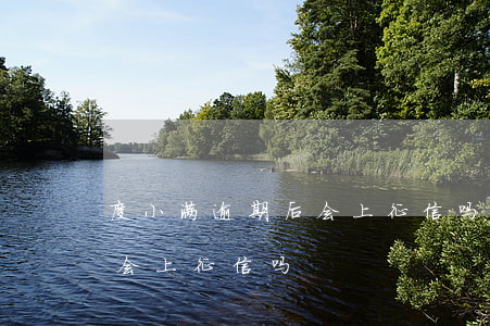 度小满逾期后会上征信吗(度小满逾期了半天会上征信吗)
