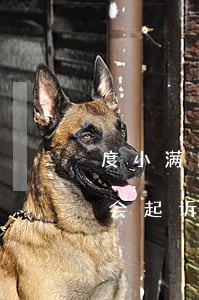 度小满逾期后怎么还款(度小满借款逾期多久会起诉)