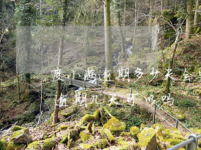 度小满逾期多少天会要求全额还款-度小满逾期几天可以吗