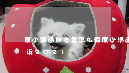 度小满逾期本金怎么算(度小满逾期多久会起诉2021)