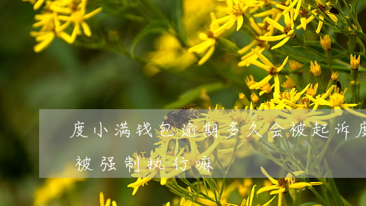 度小满钱包逾期多久会被起诉 度小满逾期会被强制执行嘛